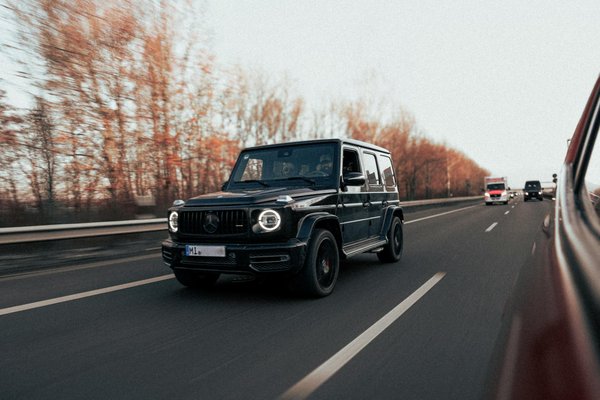 Welche Vorteile hat das Leben mit Haustieren?