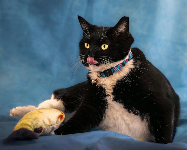 Wie hat sich Frauenmode über die Jahre entwickelt?